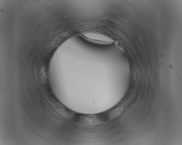 X0000078260420200612011659