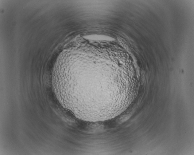 X0000078260421200612011659