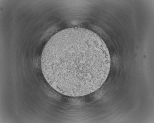 X0000078260423200612011659