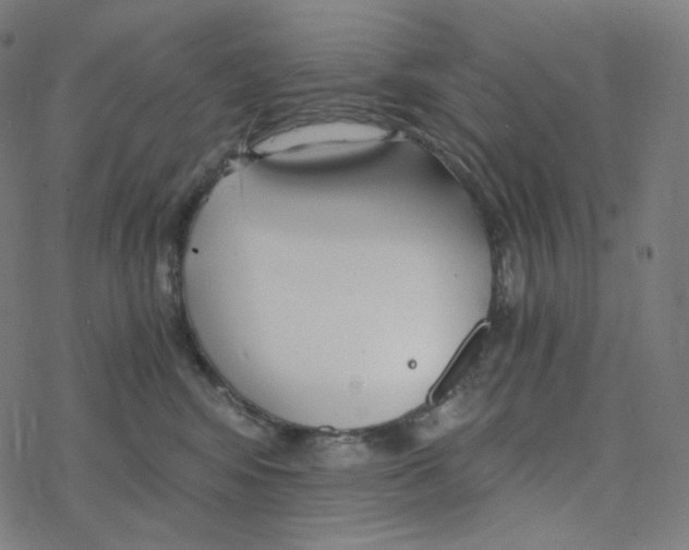 X0000078260424200612011659