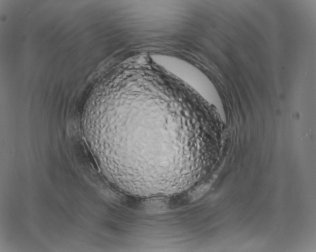 X0000078260425200612011659