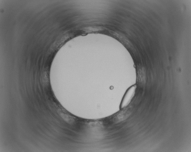 X0000078260426200612011659