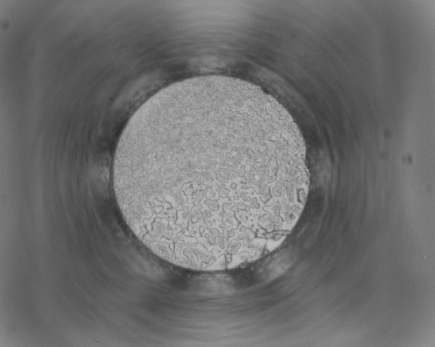 X0000078260427200612011659