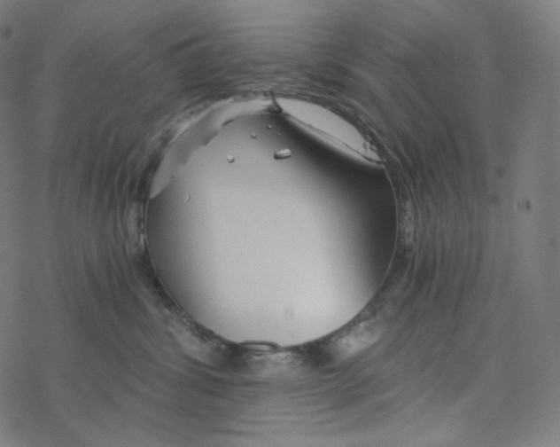 X0000078260428200612011659