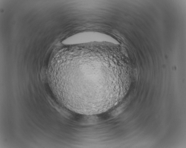 X0000078260429200612011659