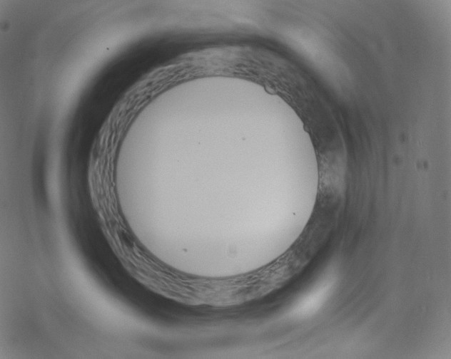 X0000078260431200612011659