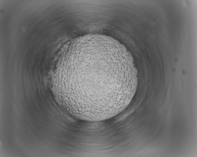 X0000078260432200612011659