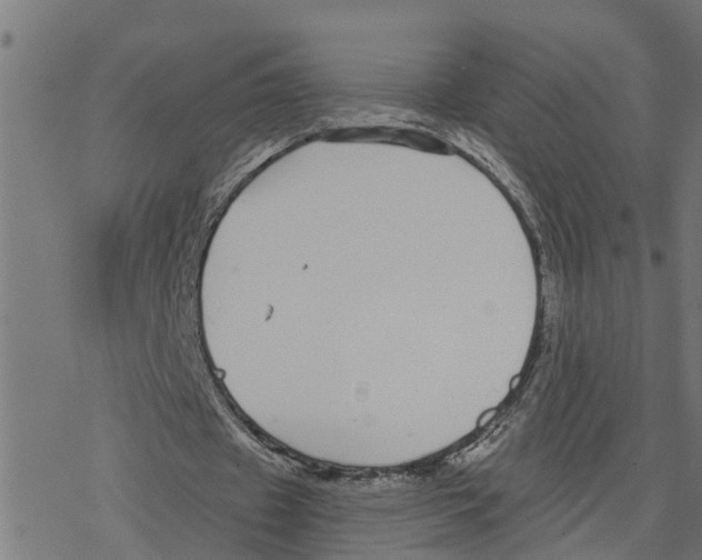 X0000078260433200612011658