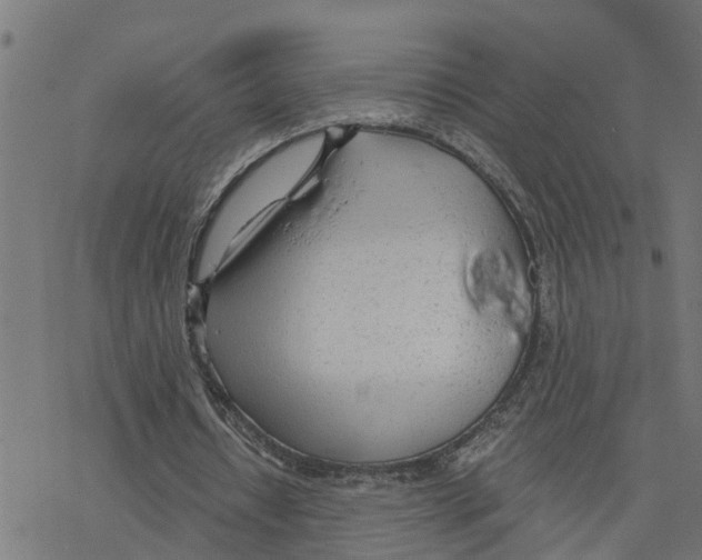 X0000078260434200612011658