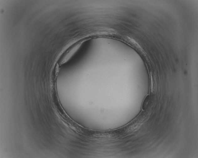 X0000078260435200612011658