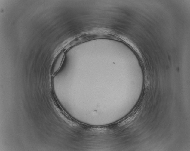 X0000078260437200612011658