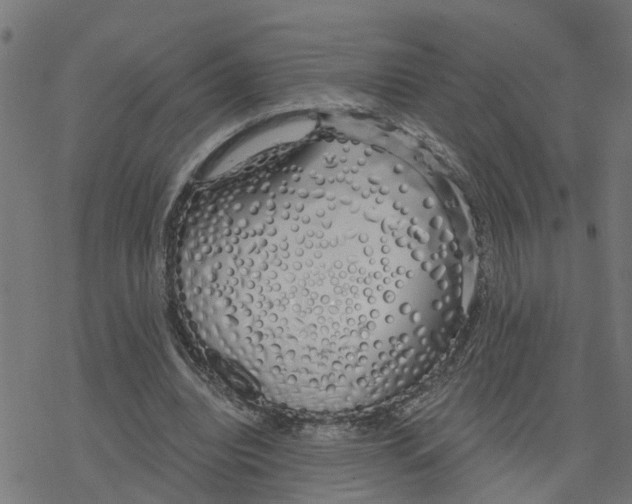 X0000078260440200612011658