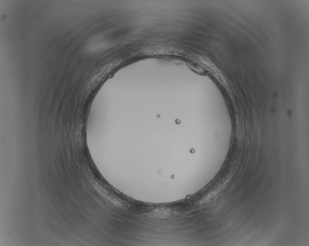 X0000078260441200612011658