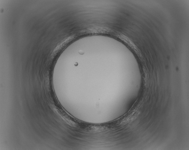 X0000078260442200612011658