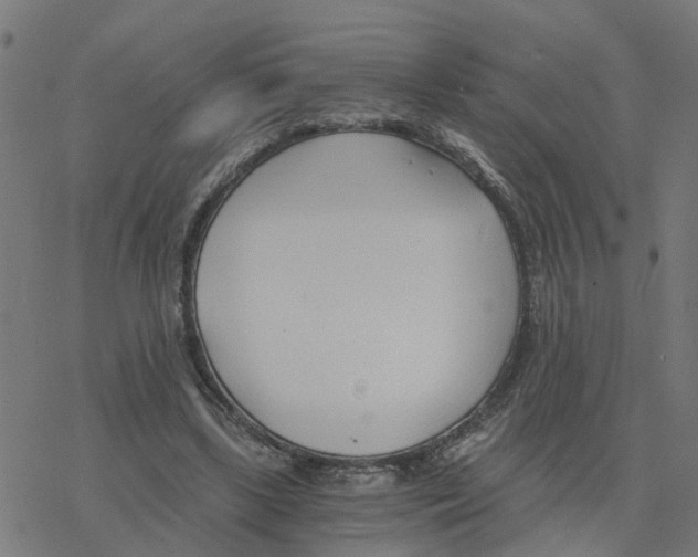 X0000078260443200612011658