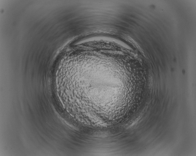 X0000078260444200612011658