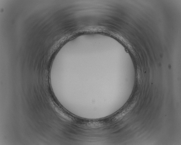 X0000078260445200612011658