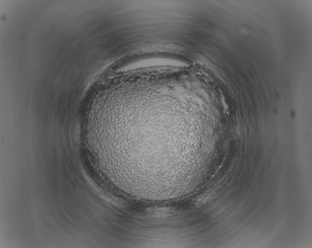 X0000078260448200612011658