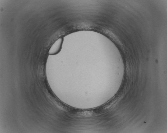 X0000078260449200612011658