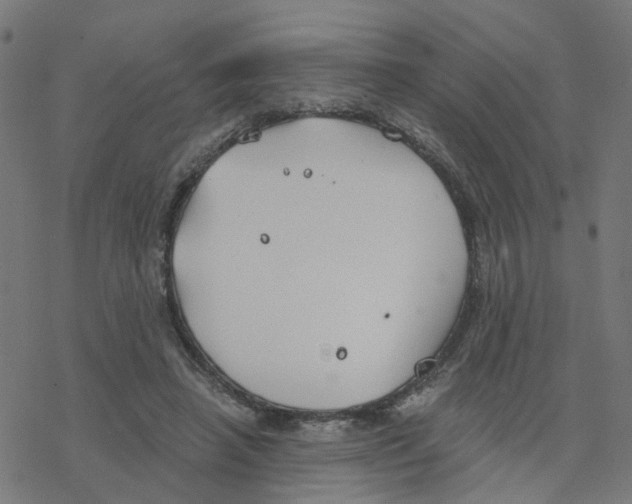 X0000078260450200612011658