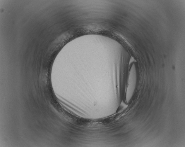 X0000078260451200612011658