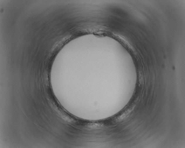 X0000078260453200612011658