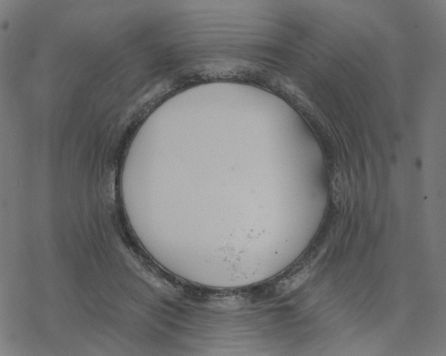 X0000078260454200612011658