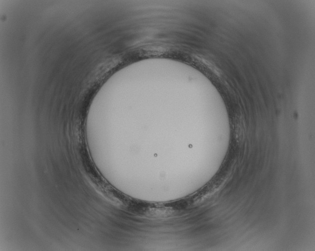 X0000078260455200612011658