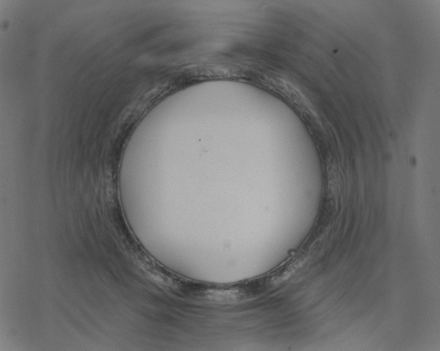 X0000078260457200612011658