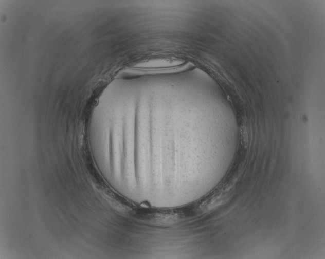 X0000078260458200612011658