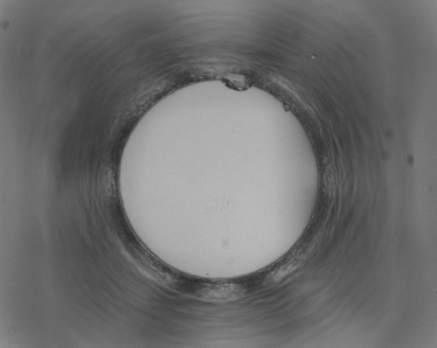 X0000078260459200612011659