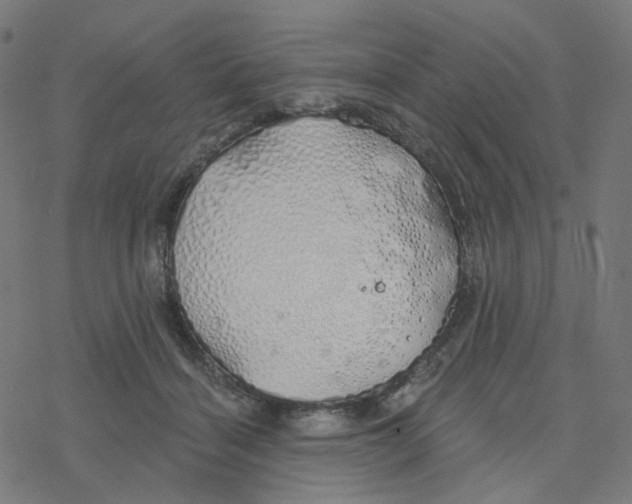 X0000078260460200612011659