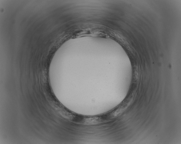 X0000078260461200612011659