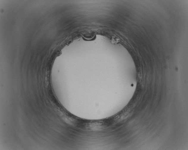 X0000078260462200612011659