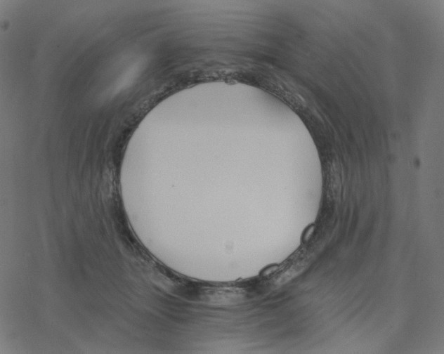 X0000078260463200612011659