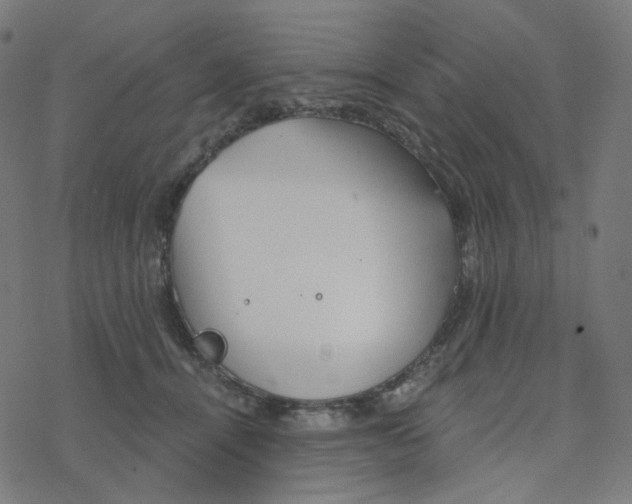 X0000078260464200612011659