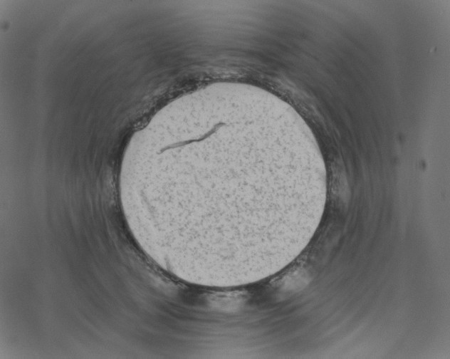 X0000078260465200612011659