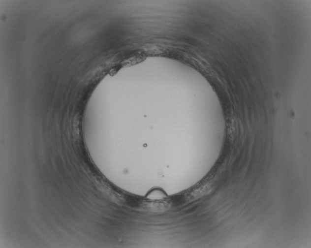 X0000078260466200612011659