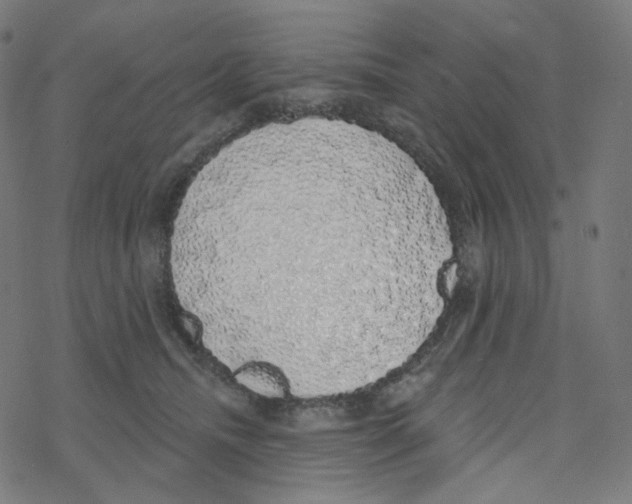 X0000078260468200612011659