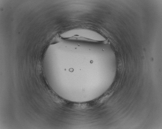 X0000078260469200612011659