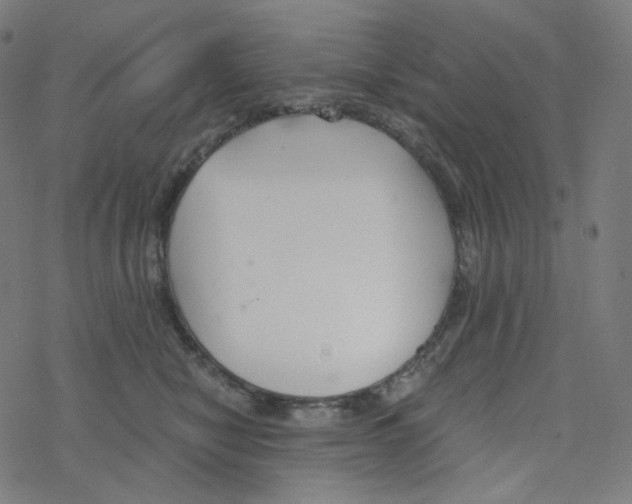 X0000078260470200612011659