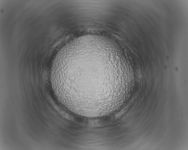 X0000078260472200612011659