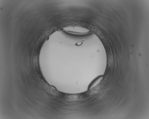 X0000078260473200612011659