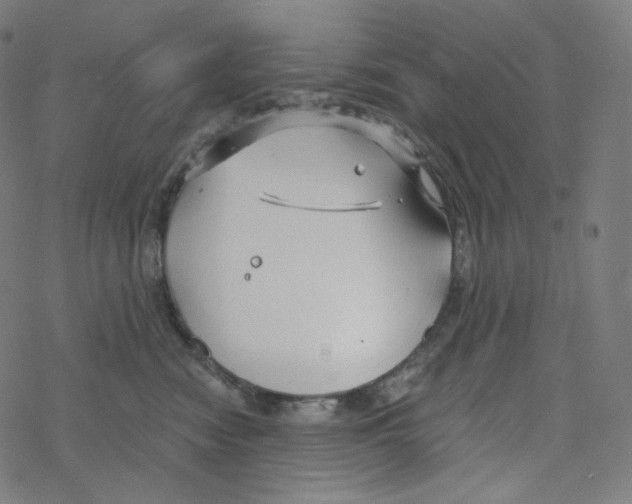 X0000078260474200612011659