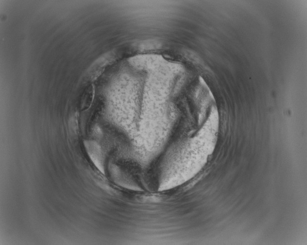 X0000078260475200612011659