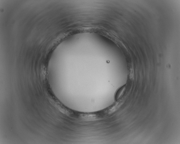 X0000078260476200612011659