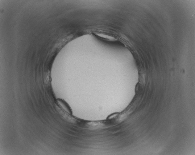 X0000078260477200612011659