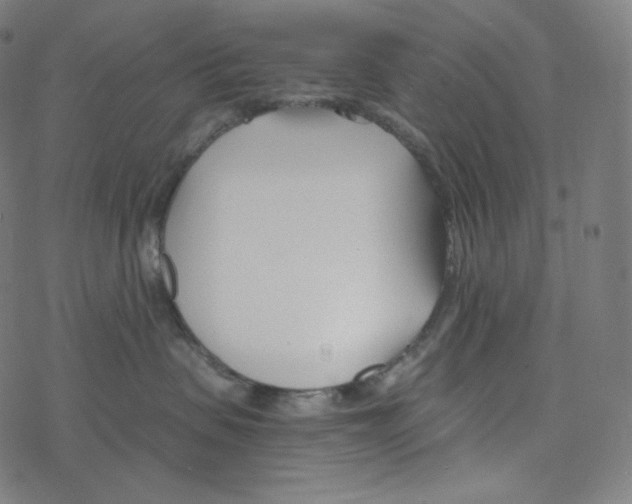 X0000078260479200612011659