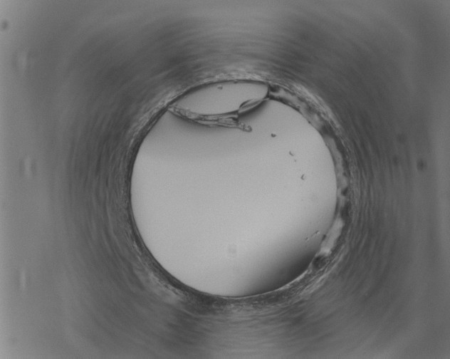 X0000078260481200612011658