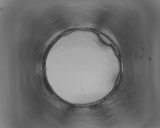 X0000078260483200612011658